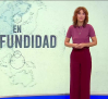 En Profundidad - 17/10/26