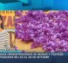 Castilla-La Mancha a las 3 - 22/10/2026