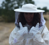 Las abejas de Robledo de Corpes: esenciales para la recuperación de la Sierra Norte