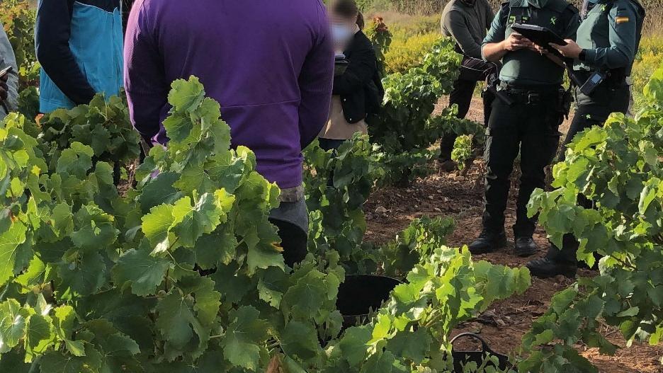 Guardia Civil en La Rioja intensifica las actuaciones contra la explotación laboral y la trata de personas durante la vendimia
GUARDIA CIVIL
(Foto de ARCHIVO)
08/10/2021
