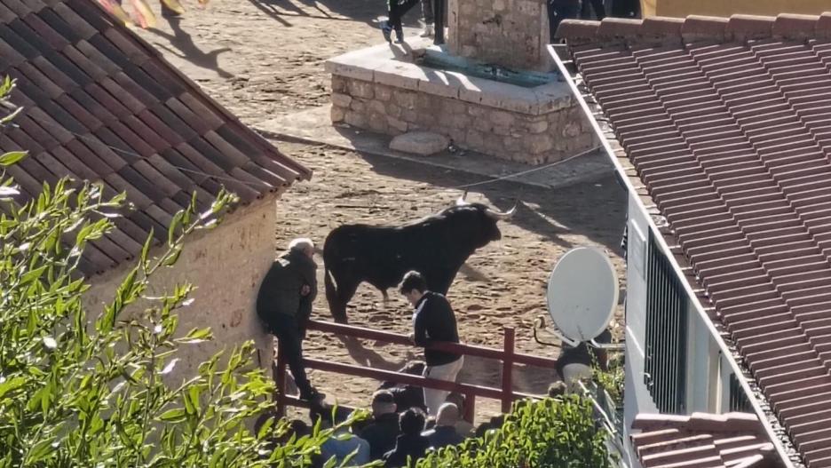 Cuatro heridos en un evento taurino en Chiloeches (Guadalajara), uno de ellos por asta de toro