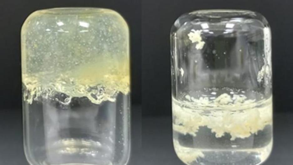 Investigadores desarrollan un hidrogel para el tratamiento ecológico de frutas y heridas.