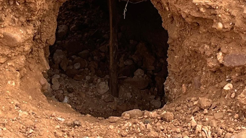 Daños en el campo a causa de la plaga de conejos.

REMITIDA / HANDOUT por ASAJA VALLADOLID
Fotografía remitida a medios de comunicación exclusivamente para ilustrar la noticia a la que hace referencia la imagen, y citando la procedencia de la imagen en la firma
30/10/2024