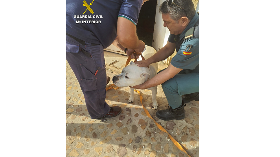 El Seprona rescata un perro abandonado sin comida ni bebida