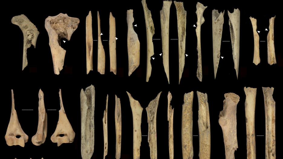 ATAPUERCA (BURGOS), 07/08/2025.-Un equipo multidisciplinar de investigadores ha descrito un nuevo episodio de canibalismo en el Yacimiento de Atapuerca (Burgos), un evento ocurrido hace unos 5.700 años -en el Neolítico final- debido probablemente a conflictos locales entre grupos pero sin que se hayan detectado indicios relacionados con ceremonias o rituales. Es la principal conclusión de un estudio, publicado hoy en la revista Scientific Reports, que ha permitido documentar un episodio de violencia entre grupos ganaderos del neolítico que derivó en un caso de canibalismo. Los restos encontrados en la cueva de El Mirador corresponden al menos a once individuos, incluidos niños, adolescentes y adultos que fueron despellejados, descarnados, desarticulados, fracturados, cocinados y finalmente consumidos, según las evidencias que los investigadores han hallado en los huesos, ha informado el Instituto Catalán de Paleoecologia Humana y Evolución Social (IPHES), que ha coordinado los estudios junto al Instituto de Arqueología de Mérida.-EFE/Instituto Catalán de Paleoecologia Humana y Evolución Social (IPHES)