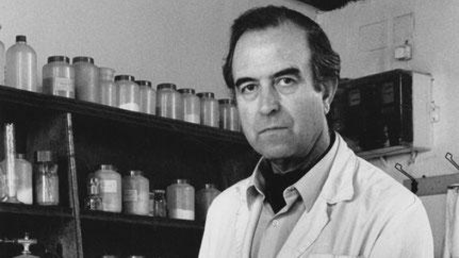Félix fallece REAL ACADEMIA