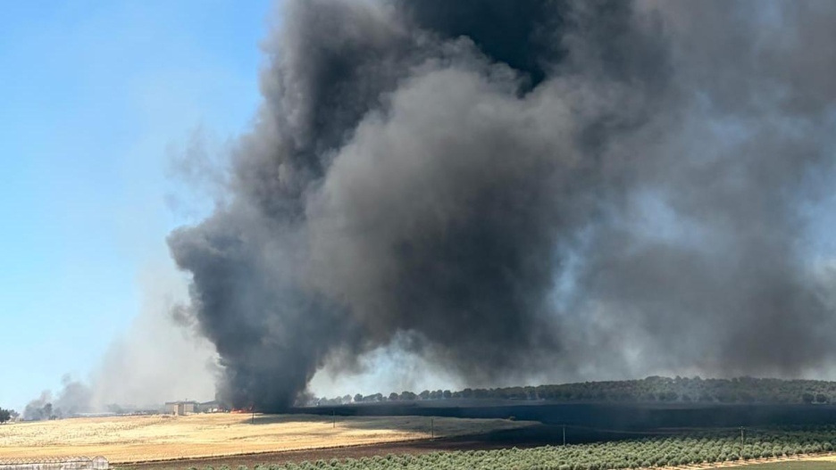 Incendio en la planta de residuos sólidos urbanos de Cabeza de Palo, Ciudad Real