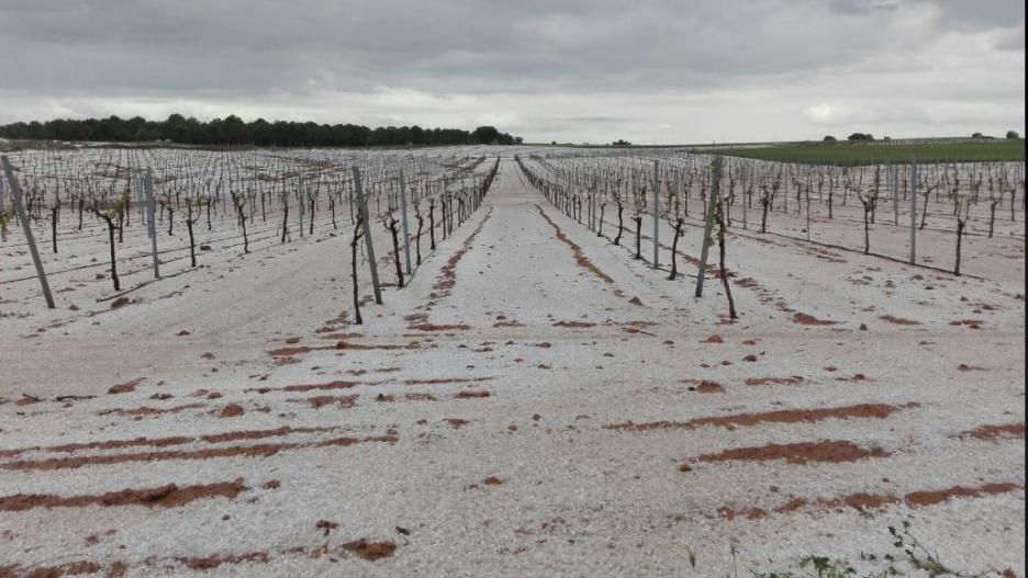 El granizo destroza viñedos en Socuéllamos