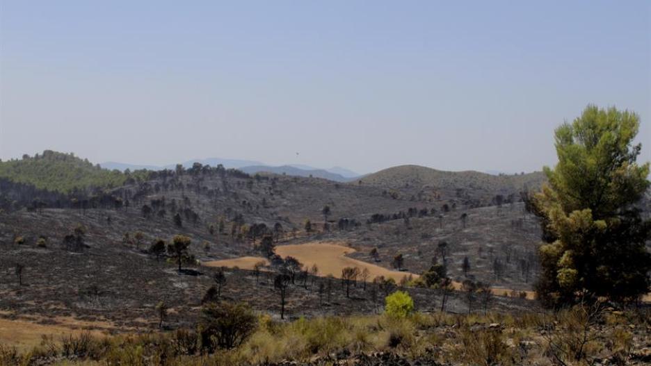 Incendio forestal en Férez (Albacete) que afecta a una zona de alto valor ecológico