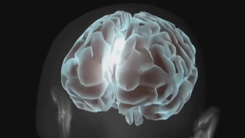 Una investigación de la UCLM descubre que la Q10 puede reducir el tumor cerebral