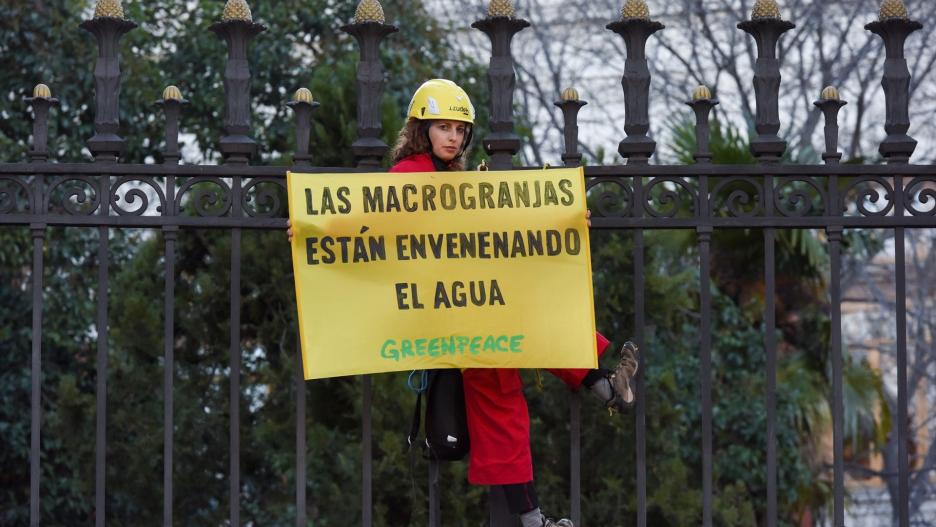 Greenpeace ha bloqueado las entradas al edificio del Ministerio de Agricultura para exigir el cierre de las macrogranjas en España.