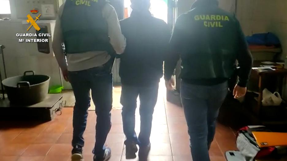 Se ha detenido dieciséis personas en una operación en la que ha esclarecido diversos robos de más de 17 toneladas de aceitunas en explotaciones agrícolas de la comarca de las Vegas de la Comunidad de Madrid