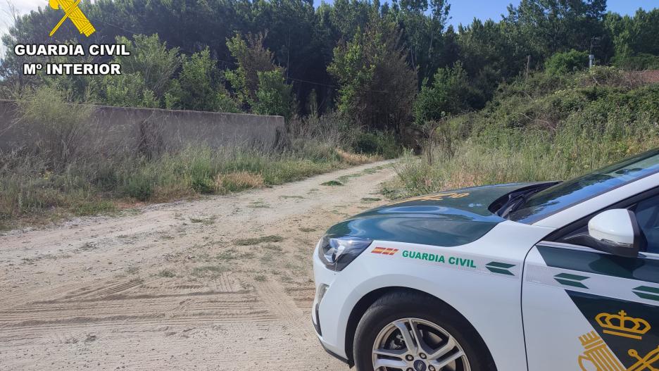 Cuatro personas han sido detenidas como presuntas autoras de un incendio forestal en Escalona.