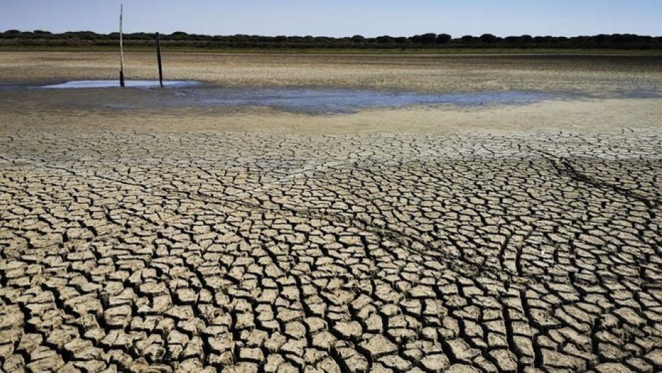 Imagen de la sequía en municipios de la Sierra de Huelva.
GIAHSA
09/5/2023