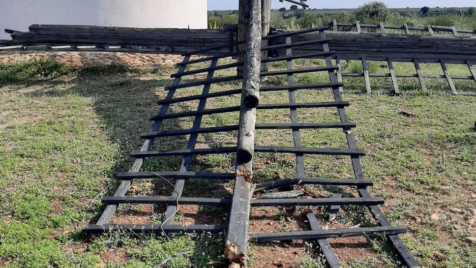 Las cuatro aspas del molino de Viñuelas (Guadalajara) aparecen rotas
EUROPA PRESS
24/6/2023