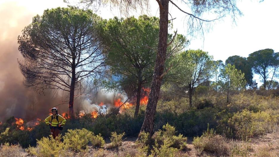 Efectivos del Infoca trabajando en la extinción del fuego declarado en un paraje natural de Bonares.
JUNTA DE ANDALUCIA
06/8/2023