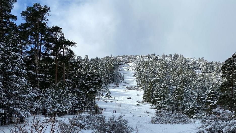 La nieve podía aparecer en distintos puntos de Castilla-La Mancha, principalmente en Cuenca y Guadalajara.