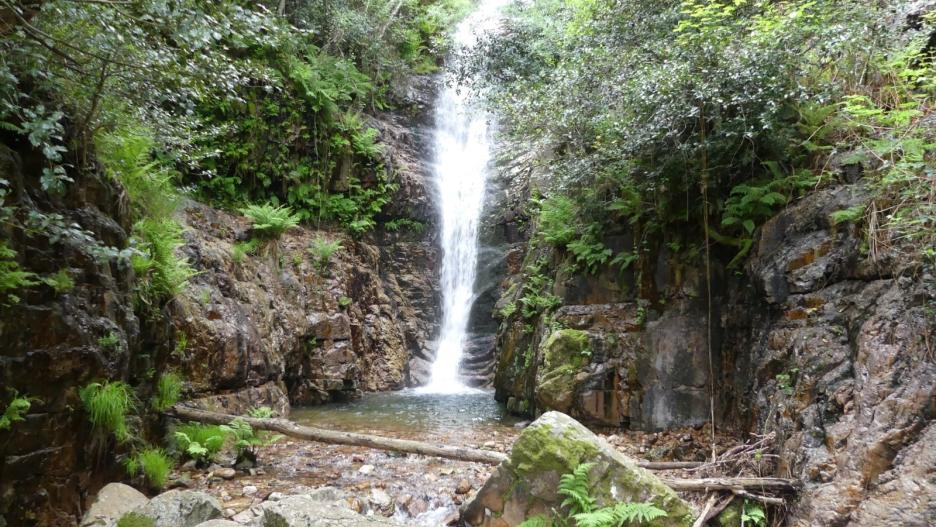 El Parque Nacional de Cabañeros asegurará la calidad de las visitas a la ruta de "El Chorro" de los Navalucillos
MINISTERIO PARA LA TRANSICIÓN ECOLÓGICA Y EL RETO
(Foto de ARCHIVO)
18/3/2021