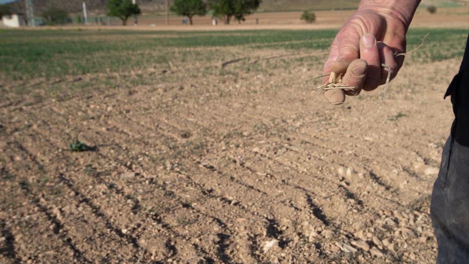 Un agricultor muestra la tierra seca, a 20 de abril de 2023