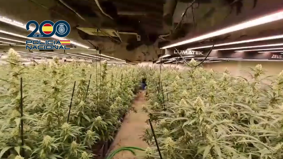 Desmantelados una macro plantación de marihuana y un laboratorio de cocaína en Ajofrín (Toledo)