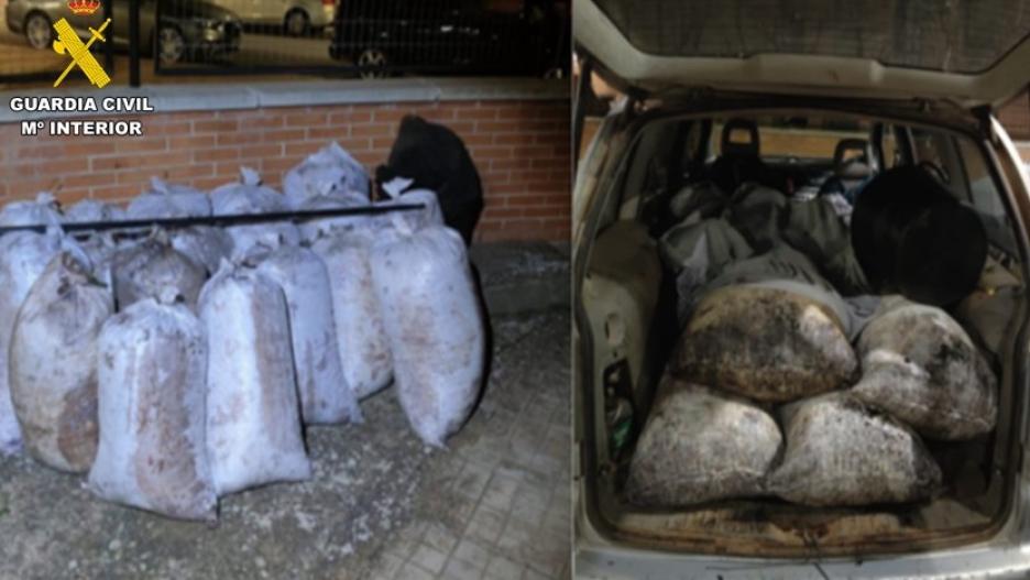 Los sacos de aceitunas recuperados por la Guardia Civil de Valdepeñas.