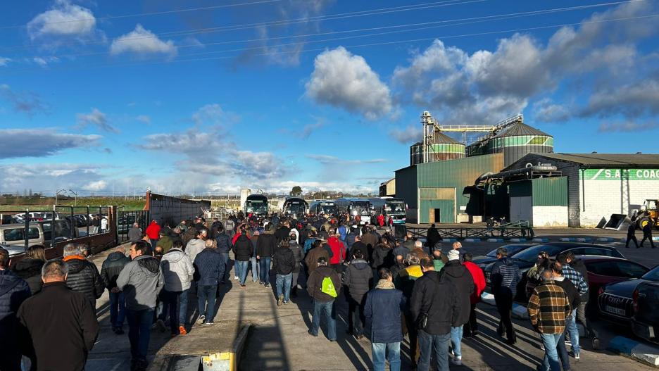 Cerca de medio millar de agricultores de Guadalajara acuden a Madrid para participar en la segunda manifestación masiva del sector agrícola en la capital de España.