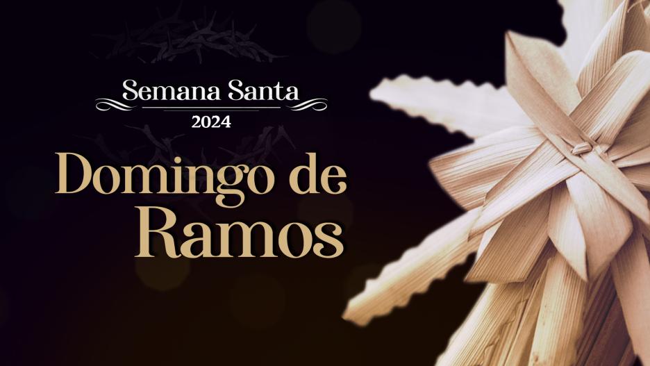 Domingo de Ramos en CMM 2024