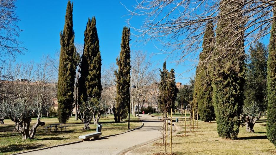 Nuevos árboles en el Parque de las Tres Culturas de Toledo
AYUNTAMIENTO DE TOLEDO
(Foto de ARCHIVO)
22/2/2022