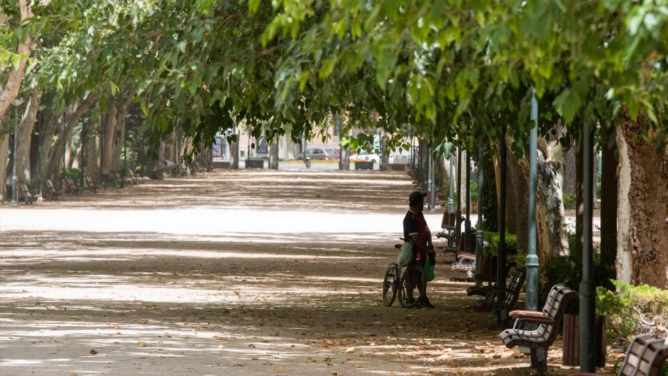 Un vecino hace un descanso en su camino a la sombra de unos árboles, en el parque Abelardo Sánchez, a 10 de agosto de 2023, en Albacete, Castilla-La Mancha (España). El Gobierno de Castilla-La Mancha mantiene activo el Plan Específico ante el Riesgo por Fenómenos Meteorológicos Adversos (Meteocam) en la provincia de Albacete, donde la Agencia Estatal de Meteorología (Aemet) establece un aviso rojo por riesgo extremo de altas temperaturas en las comarcas de Hellín y Almansa.
10 AGOSTO 2023;OLA DE CALOR;CALOR;SOL;TEMPERATURA;EXTREMO;EXTREMAS;
Víctor Fernández / Europa Press
(Foto de ARCHIVO)
10/8/2023