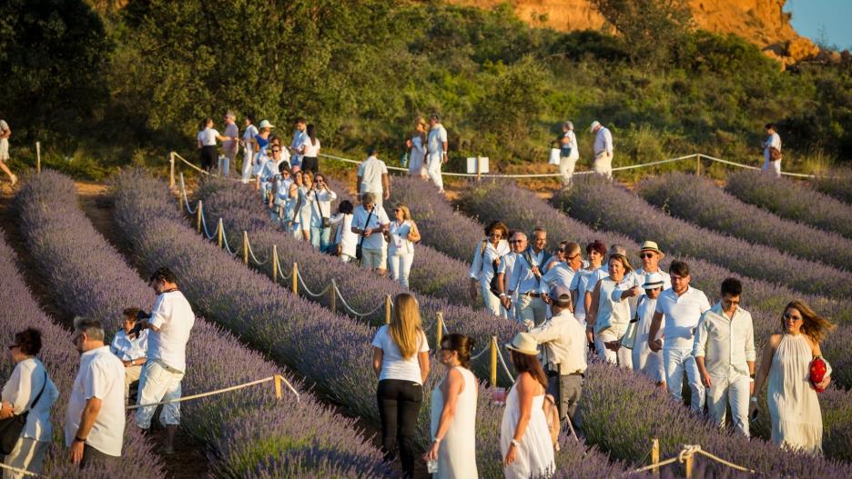 El Festival de Lavanda de Brihuega espera congregar a más de 5.000 asistentes en sus dos conciertos
FESTIVAL DE LAVANDA
(Foto de ARCHIVO)
31/5/2019