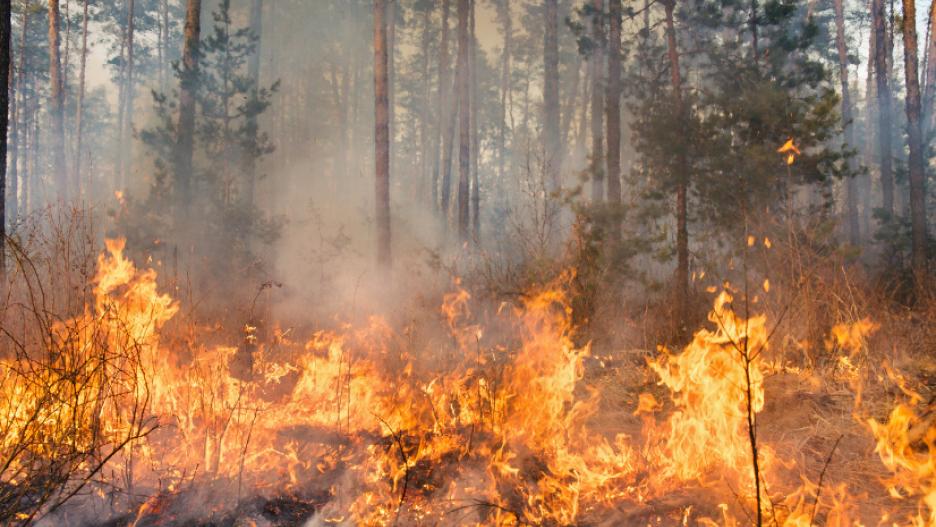 Imagen de archivo de un incendio