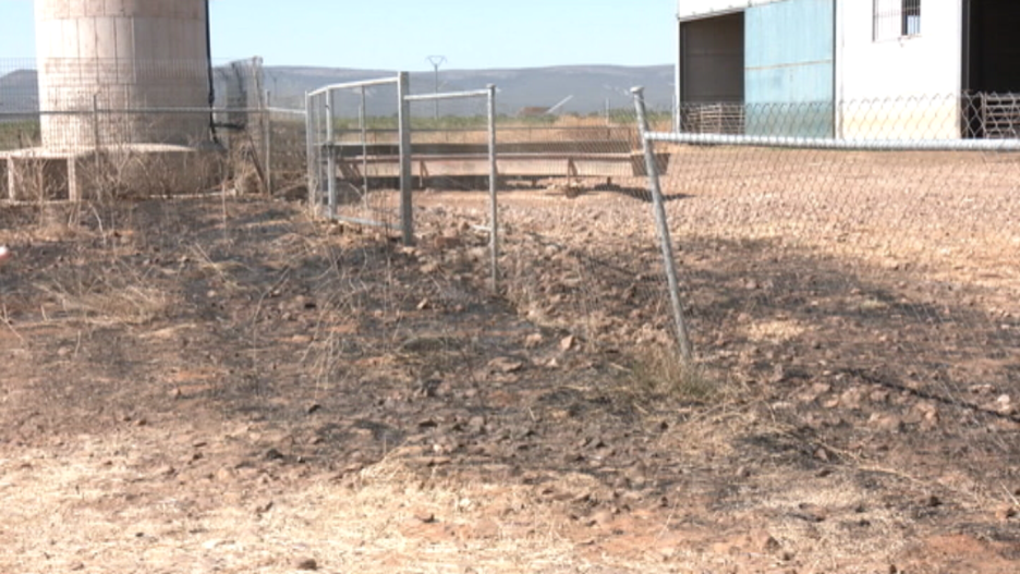 Incendio ganadería ovina por el robo de cable eléctrico