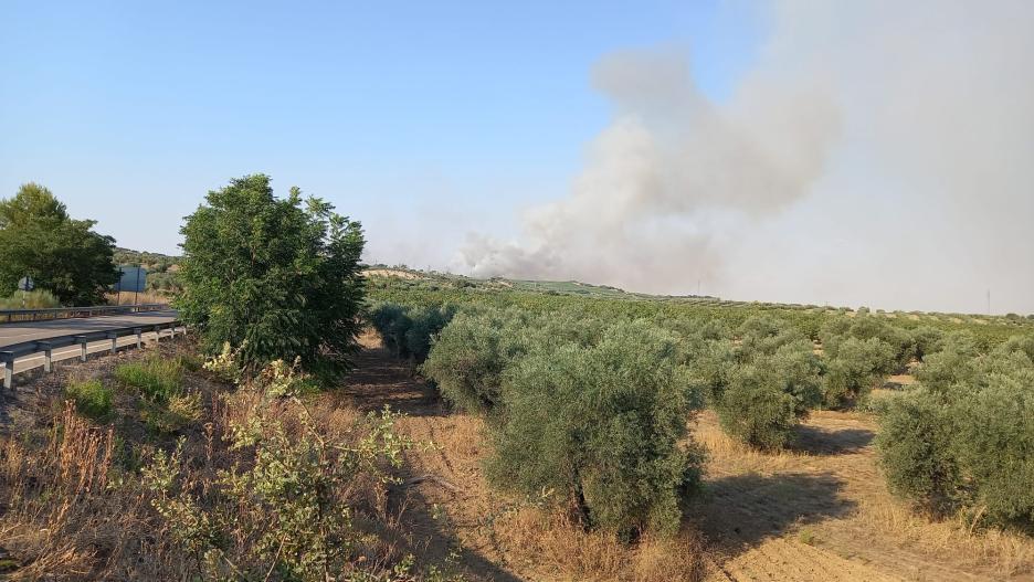 Columna de humo del incendio de Mesegar de Tajo (Toledo)