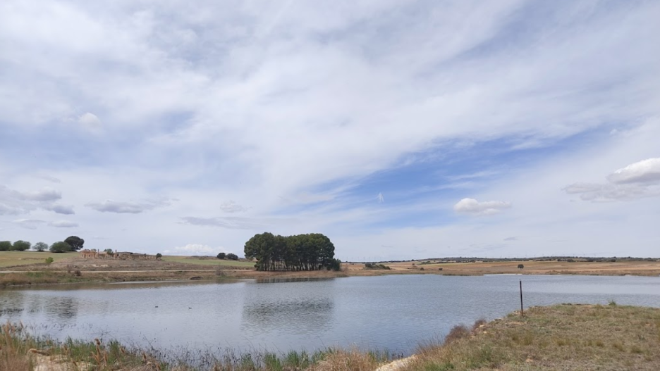 Lagura del Saladar en Almansa en mayo de 2023