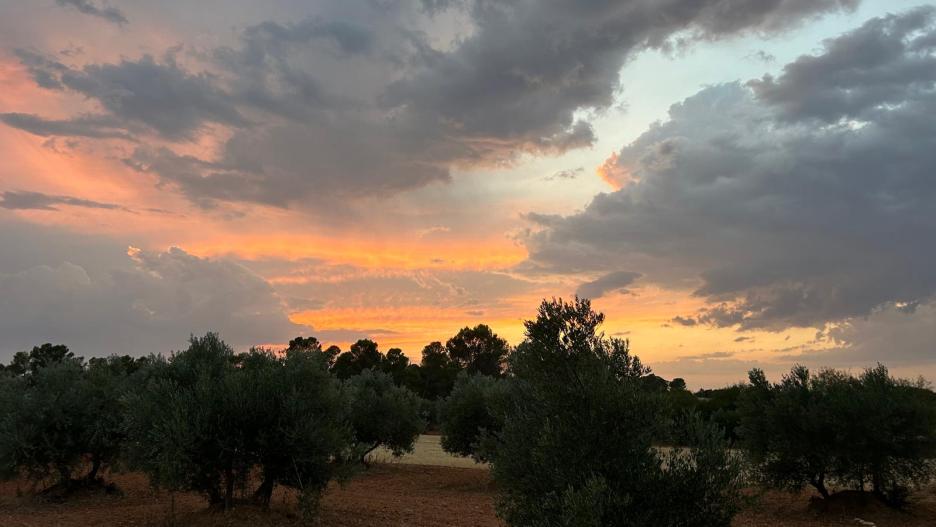 Imagen de nubes al atardecer en un olivar de Castilla-La Mancha