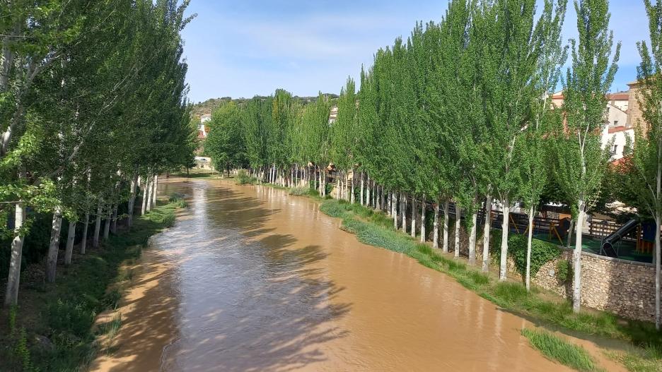 Imagen del río a su paso por Trillo.