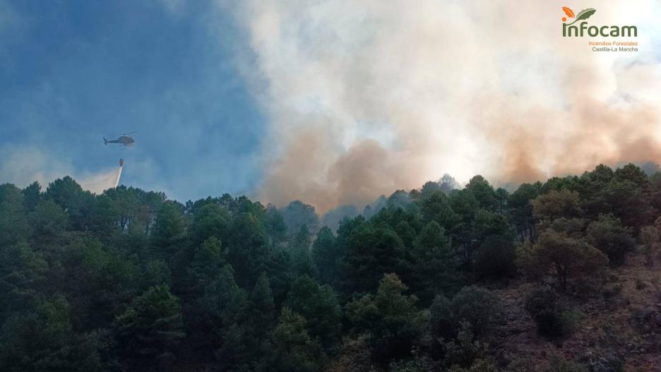 Incendio forestal en Paterna del Madera (Albacete) 06/08/2024