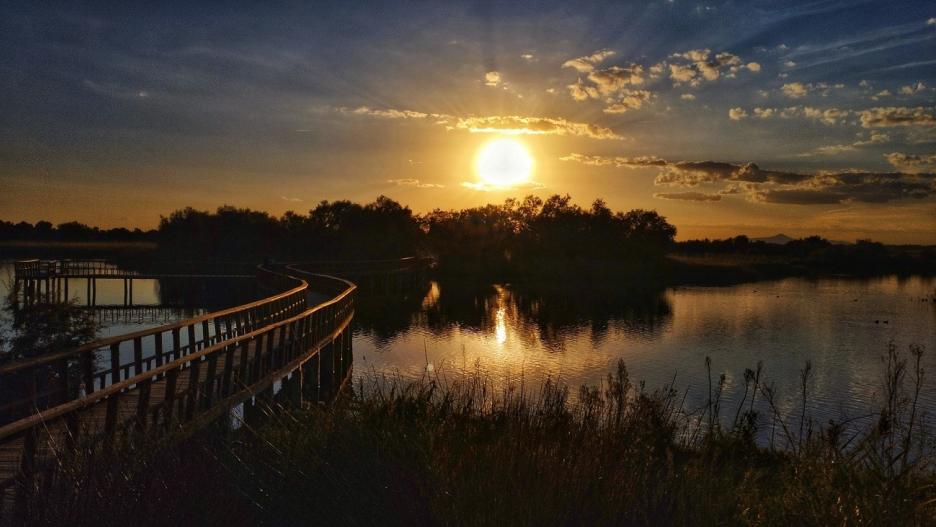 Imagen de la Tablas de Daimiel (Ciudad Real)