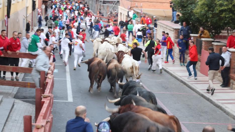 (Foto de ARCHIVO)
Encierro en las fiestas de Guadalajara.

REMITIDA / HANDOUT por AYUNTAMIENTO
Fotografía remitida a medios de comunicación exclusivamente para ilustrar la noticia a la que hace referencia la imagen, y citando la procedencia de la imagen en la firma
14/9/2024