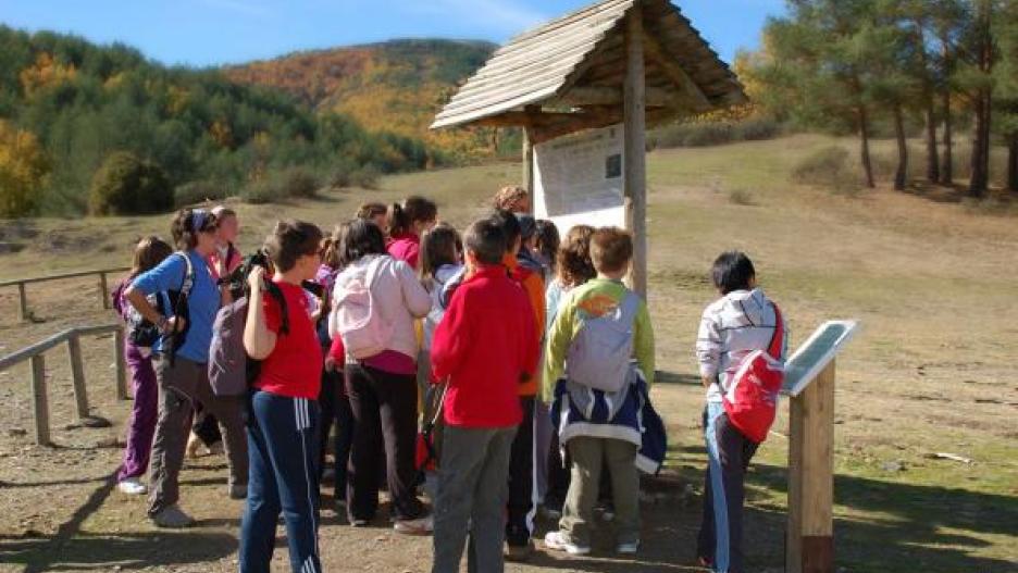 Centros escolares participando en una de actividades ambientales