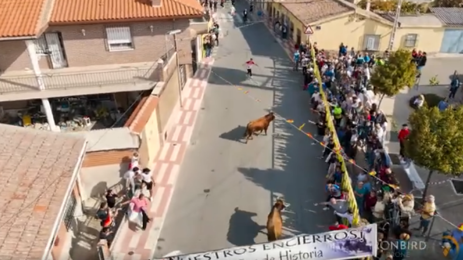 Momento del primer encierro de las fiestas de Portillo de Toledo 2024