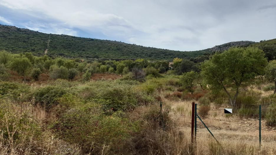 Algunos de los vagones cayeron por esta ladera en Valdeazogues, pedania de Almodovar del Campo. Los trenes pueden intuirse al fondo de la imagen.