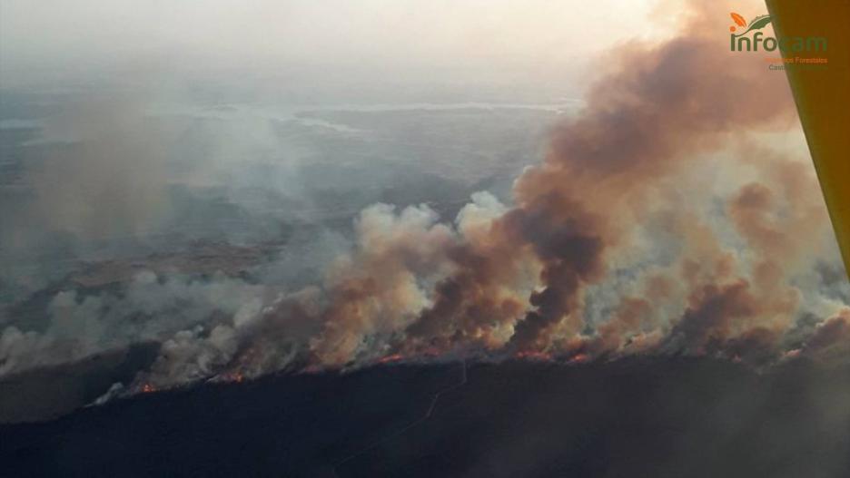 (Foto de ARCHIVO)
Incendio forestal declarado en Valverdejo.

PLAN INFOCAM
31/7/2024