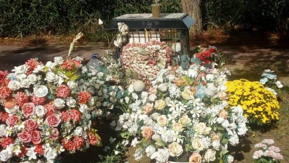 Flores en recuerdo de Lorenzo, en el lugar del asesinato