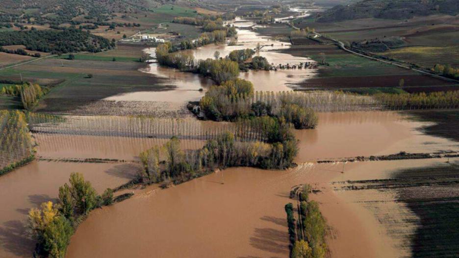 Inundaciones en explotaciones agrícolas en Guadalajara