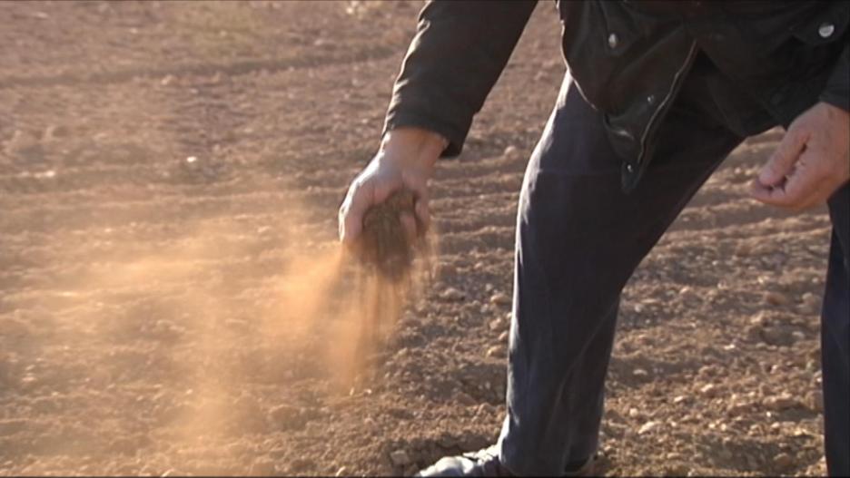 La sequía lleva al límite a los agricultores de la provincia de Albacete