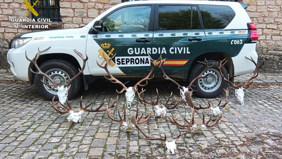 El Seprona realiza varias actuaciones 
contra el furtivismo y la caza ilegal en la 
comarca de Molina de Aragón