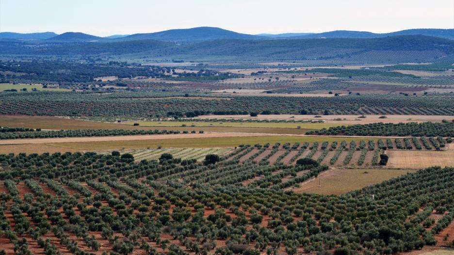 (Foto de ARCHIVO)
Quantum recibe informes y alegaciones al proyecto de minería de tierras raras en el Campo de Montiel


12/6/2017