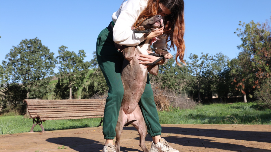 (Foto de ARCHIVO)
Un perro abraza a una mujer durante el desfile solidario de perros del Centro de Bienestar Animal de Son Reus, a 17 de diciembre de 2022, en Palma de Mallorca, Mallorca, Islas Baleares (España). El desfile, organizado por la asociación Peluditos de Son Reus, busca promover las adopciones, mostrando los perros rescatados que viven en el Centro de Bienestar Animal de Son Reus.

Isaac Buj / Europa Press
17 DICIEMBRE 2022;PERROS;RESCATADOS;ADOPCIÓN;ADOPTAR;DESFILE;SOLIDARIO;SON REUS;PELUDITOS
17/12/2022