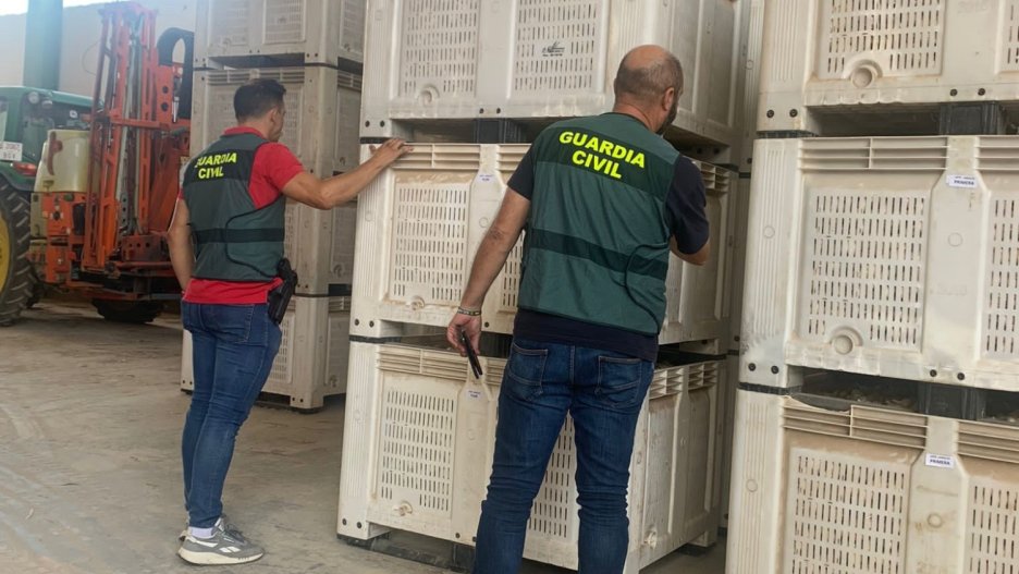 Agentes de la Guardia Civil durante una operación paa desarticular dos grupos criminales por delitos contra la propiedad en la Mancha conquense.

REMITIDA / HANDOUT por GUARDIA CIVIL
Fotografía remitida a medios de comunicación exclusivamente para ilustrar la noticia a la que hace referencia la imagen, y citando la procedencia de la imagen en la firma
24/1/2025